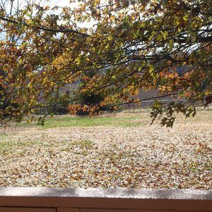 Meet your Posher, Mandy